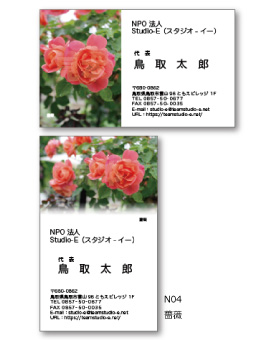 薔薇 N04